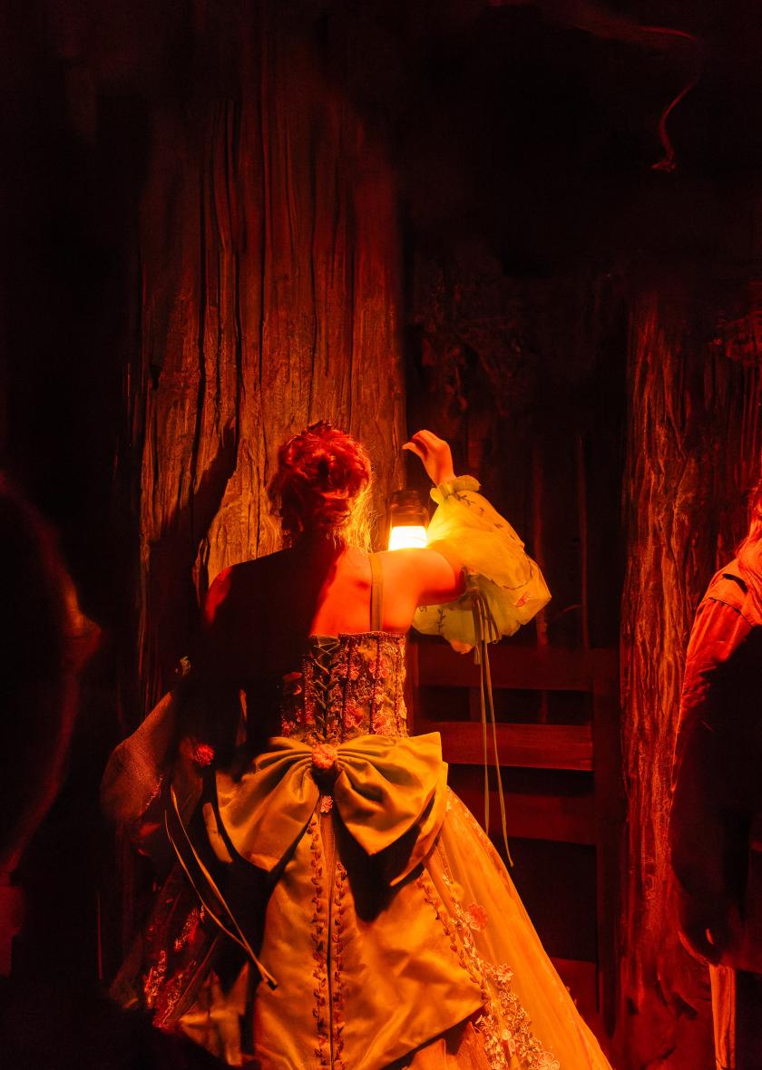 I Wish: An Illinois Theatre Production