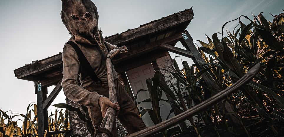 Haunted Cornfield