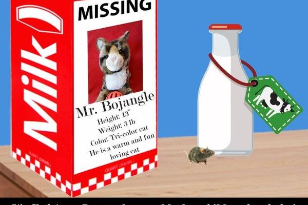 Oh, Jingle! Where in the Cat’s Name is Mr. Bojangle?