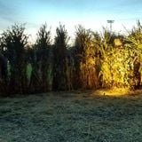 Dunellen Haunted Trail