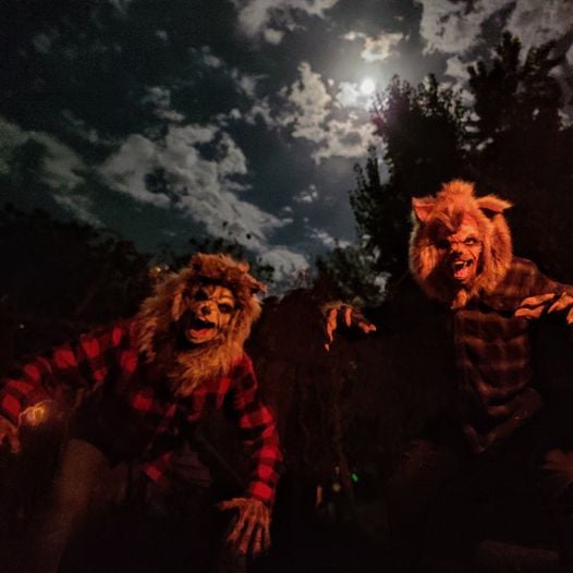 The Forest