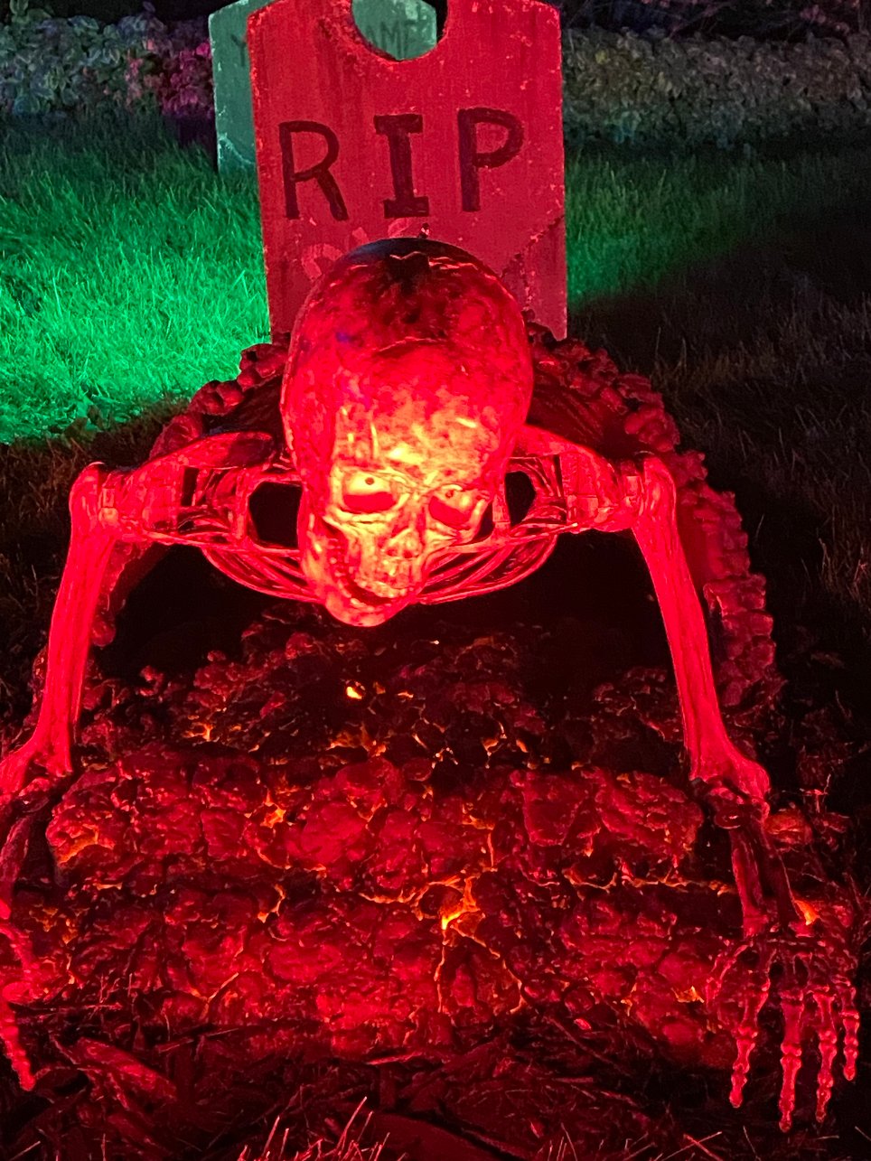 Live Undead on Lexington