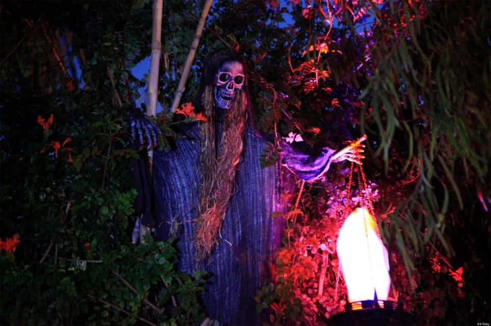 Hirschi's Haunted Hollow