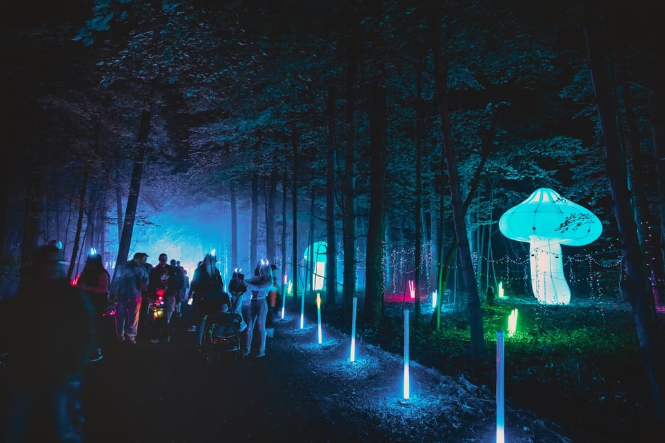 The Haunted Forest: CarnEvil