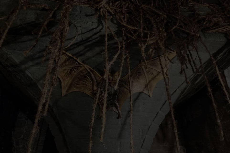 Dracula's Castle
