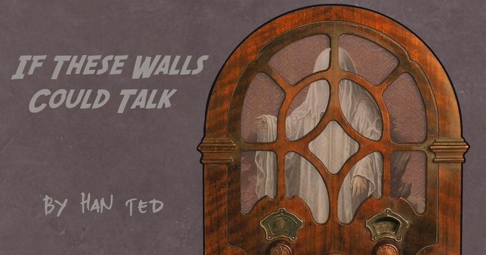 If These Walls Could Talk