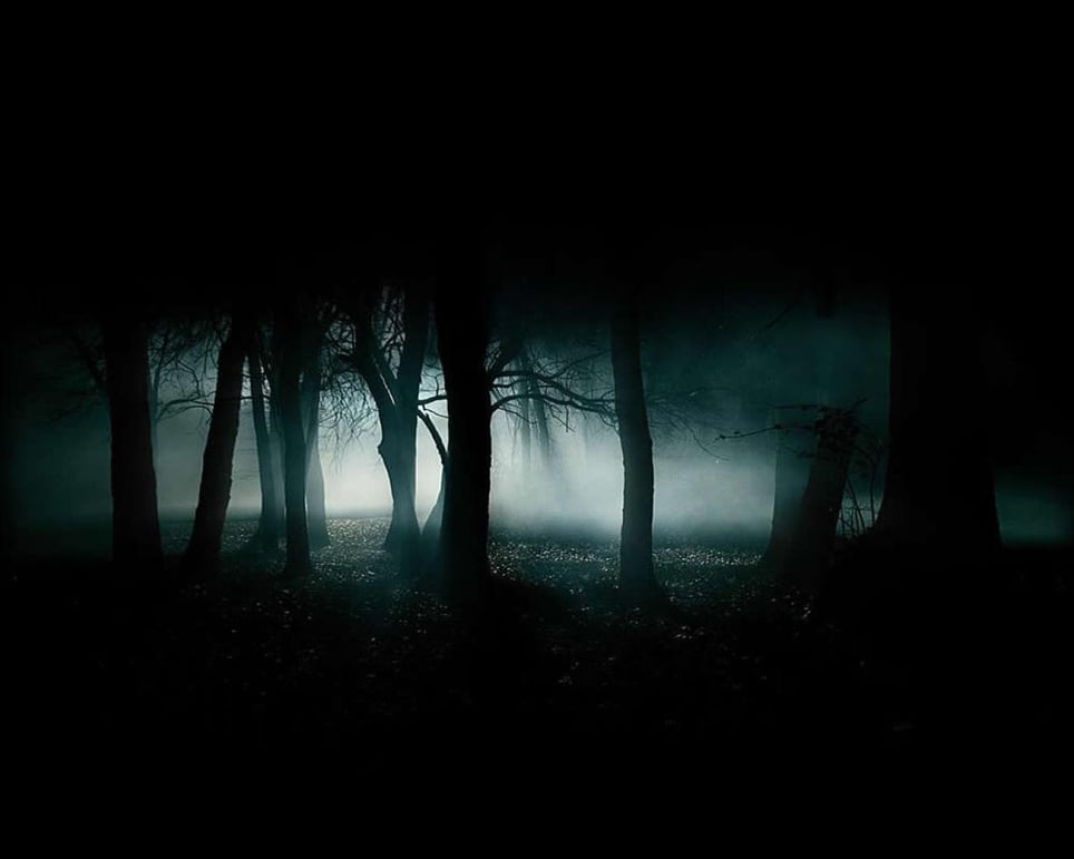 Haunted Woods