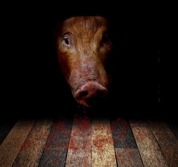 The Cellar