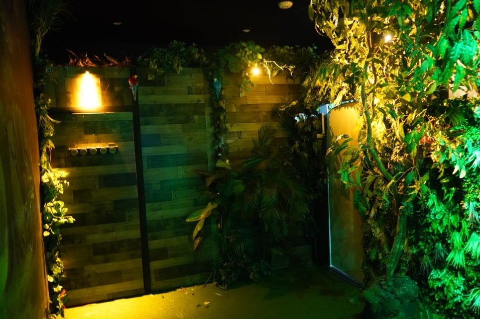 Jungle Quest