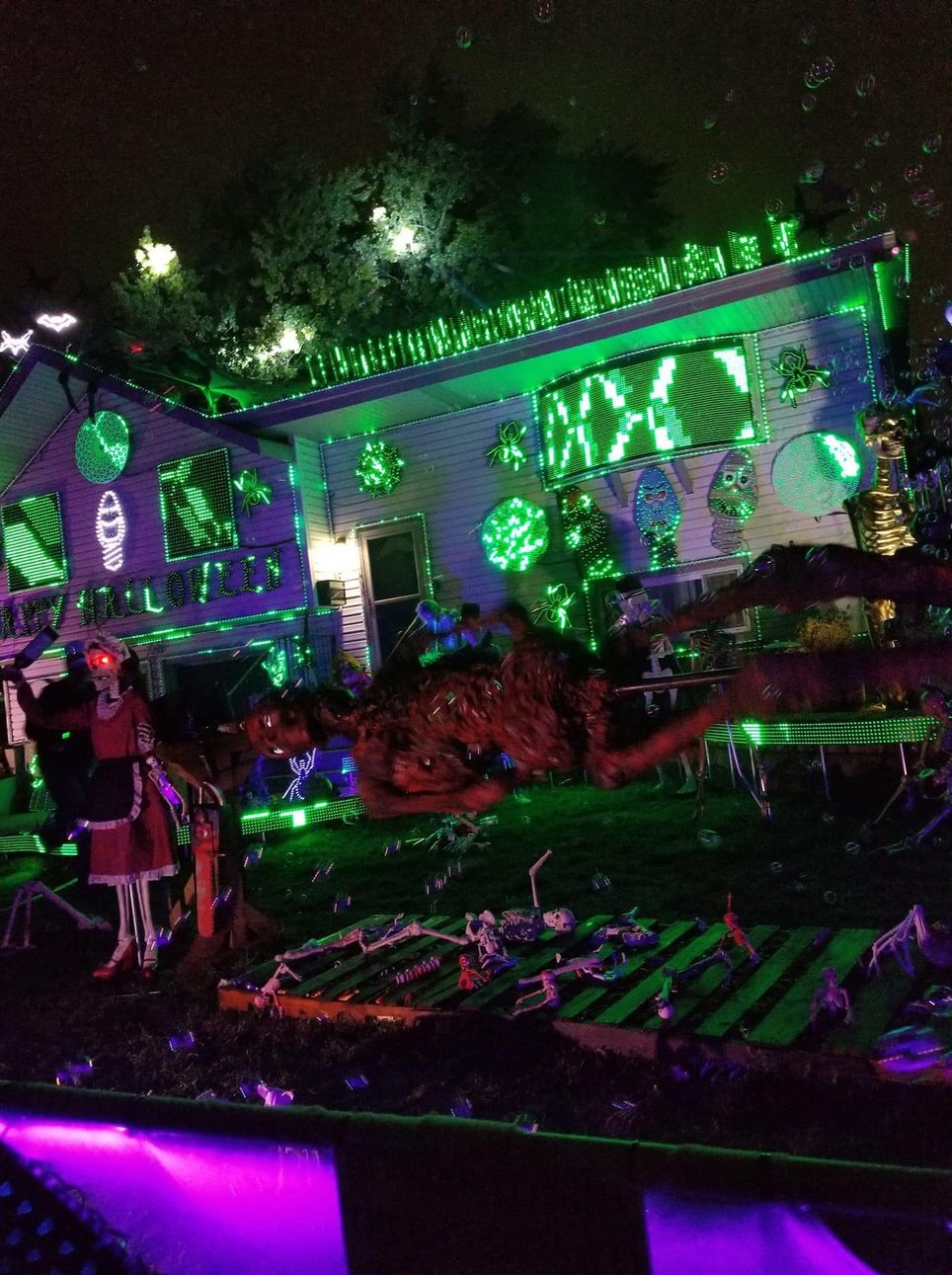 Boxwood Lights Show