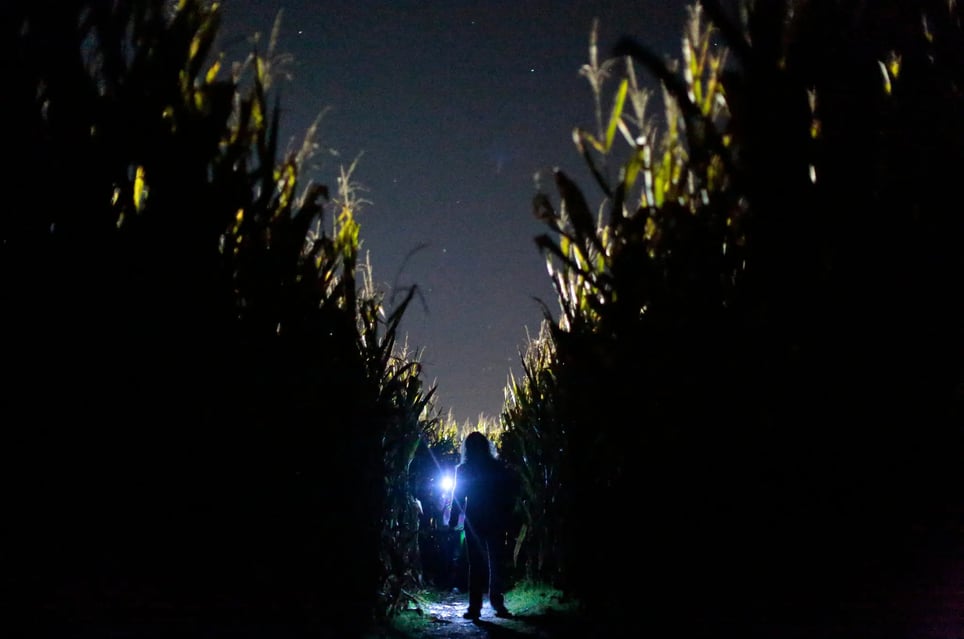 Haunted Corn Maze