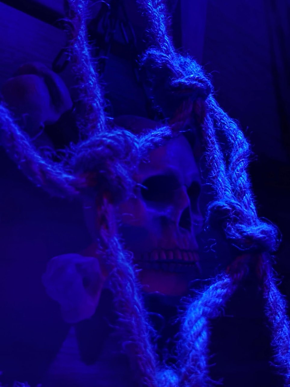 Captain Kidd