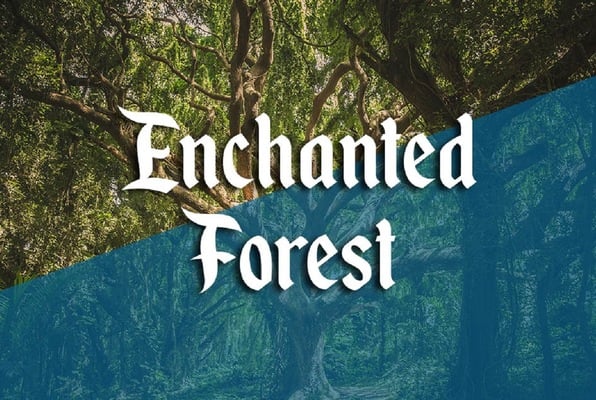 Enchanted Forest