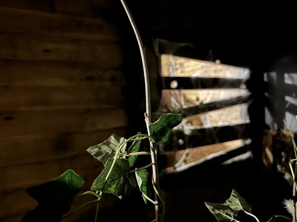 La Cabane