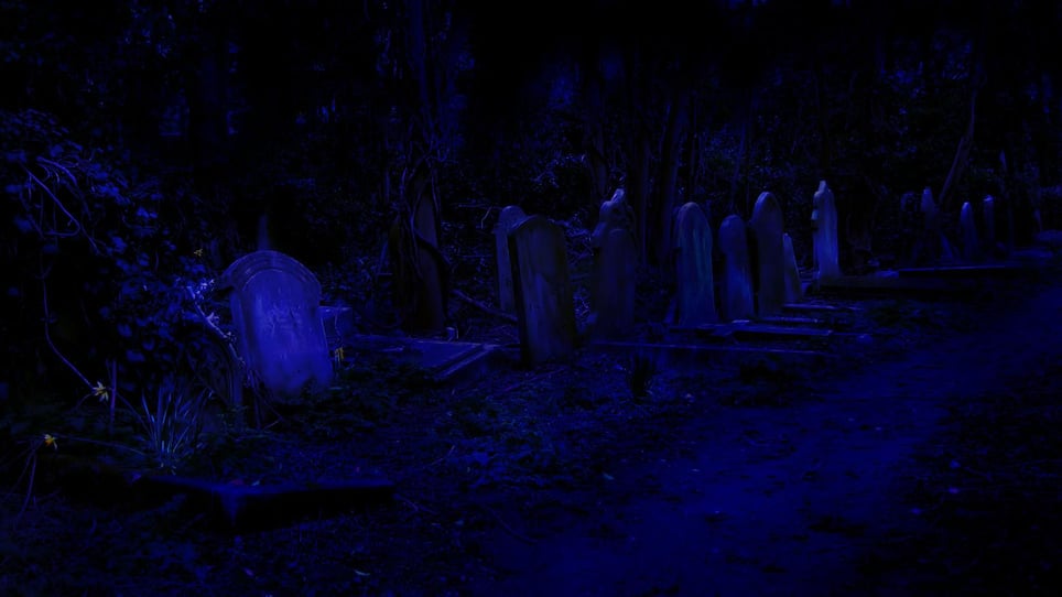 Twisted Nightmare