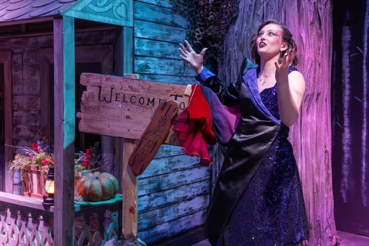 I Wish: An Illinois Theatre Production