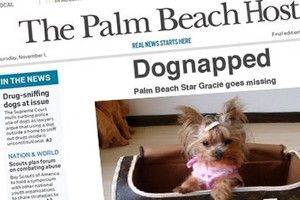 Dognapped