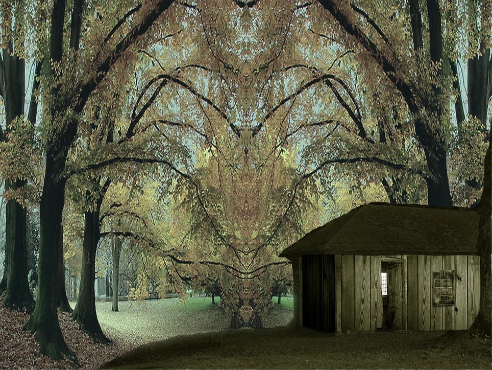 The Fear Within