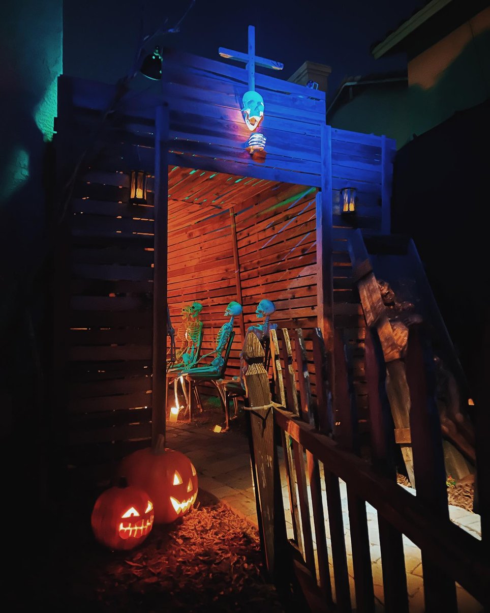 Haunted Palo Verde