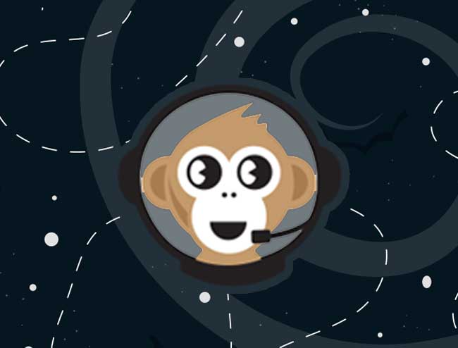 Space Monkey