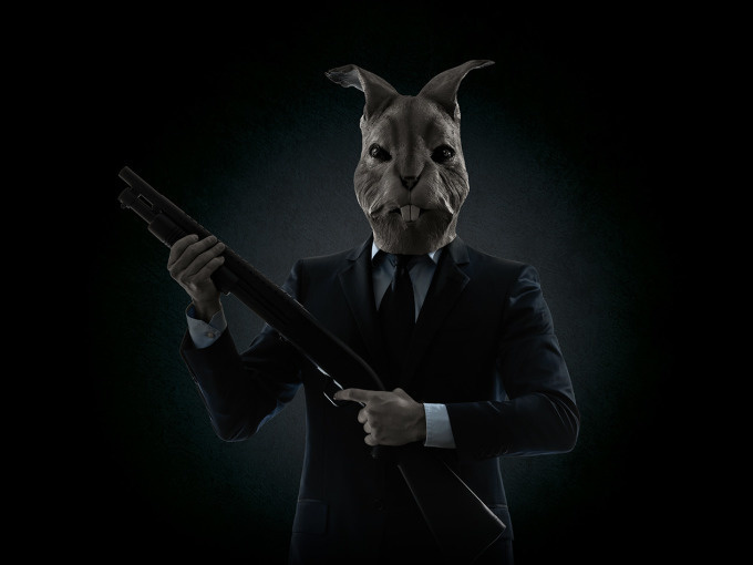 Rabbit6