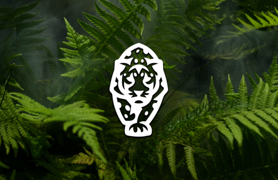 El Tesoro Del Jaguar [Jaguar's Treasure]
