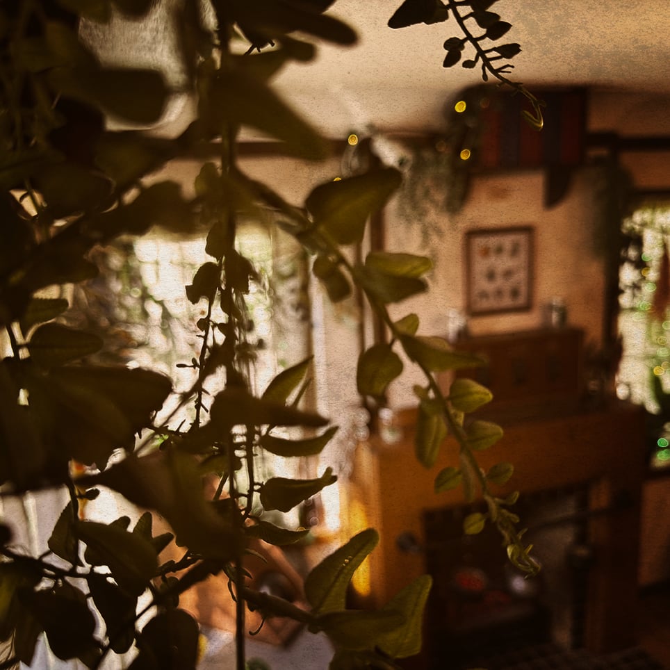 The Apothecary