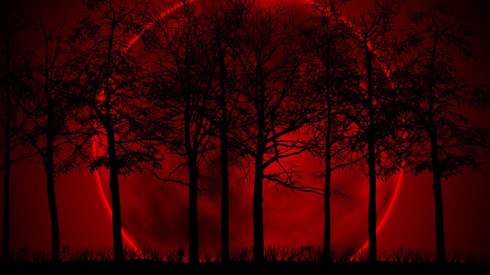 Horror Trails