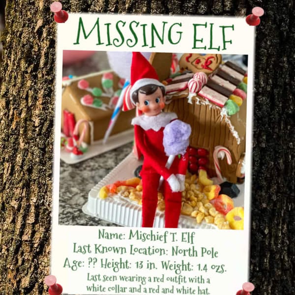 Saving Santa's Sidekick
