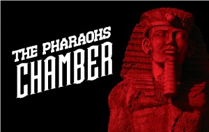 The Pharaoh's Chamber
