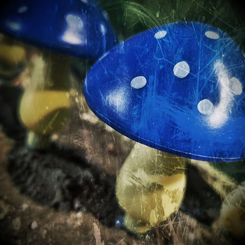 Toadstool House