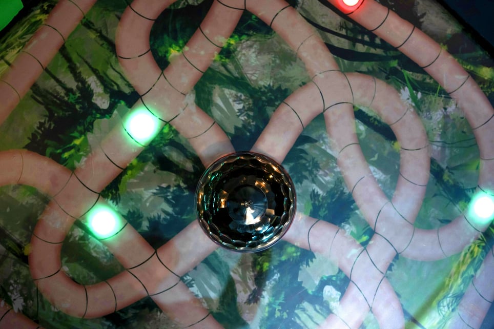 The Jungle Game