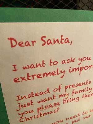 Home Alone For Christmas
