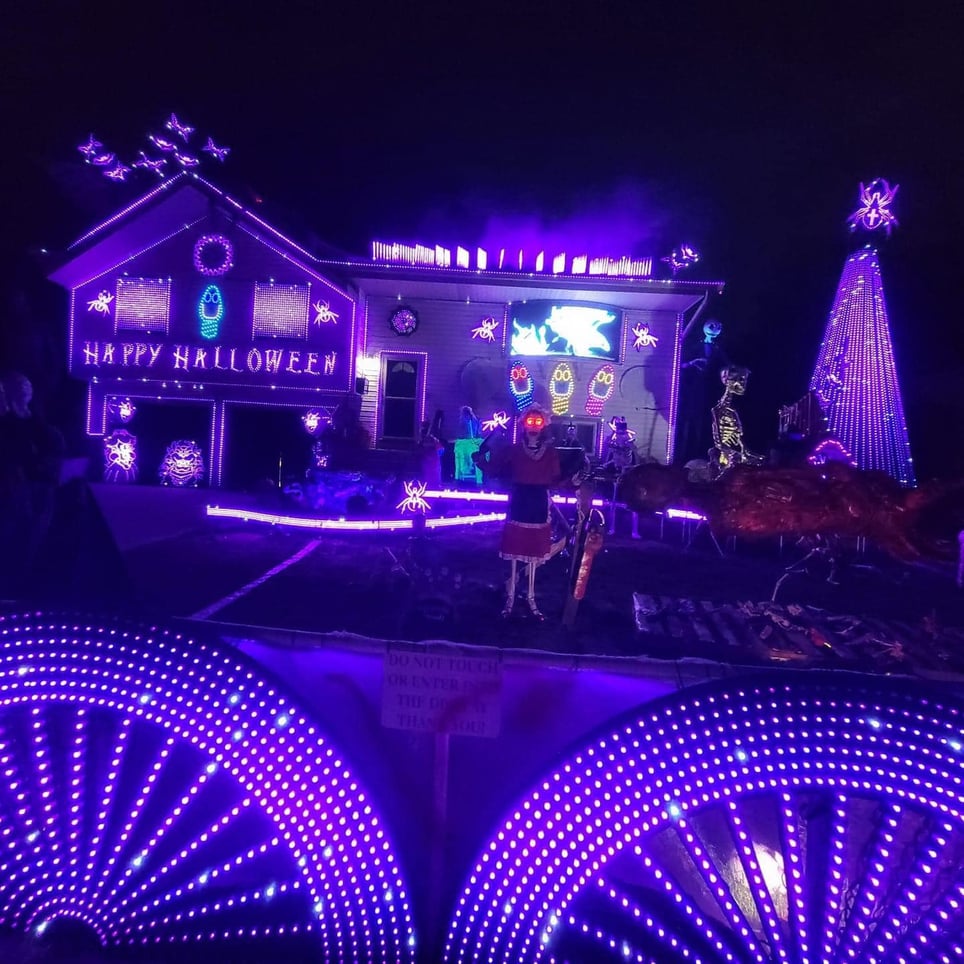 Boxwood Lights Show