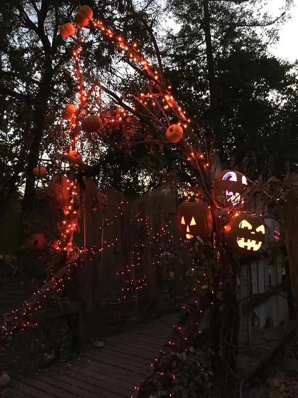 Grimm's Hollow