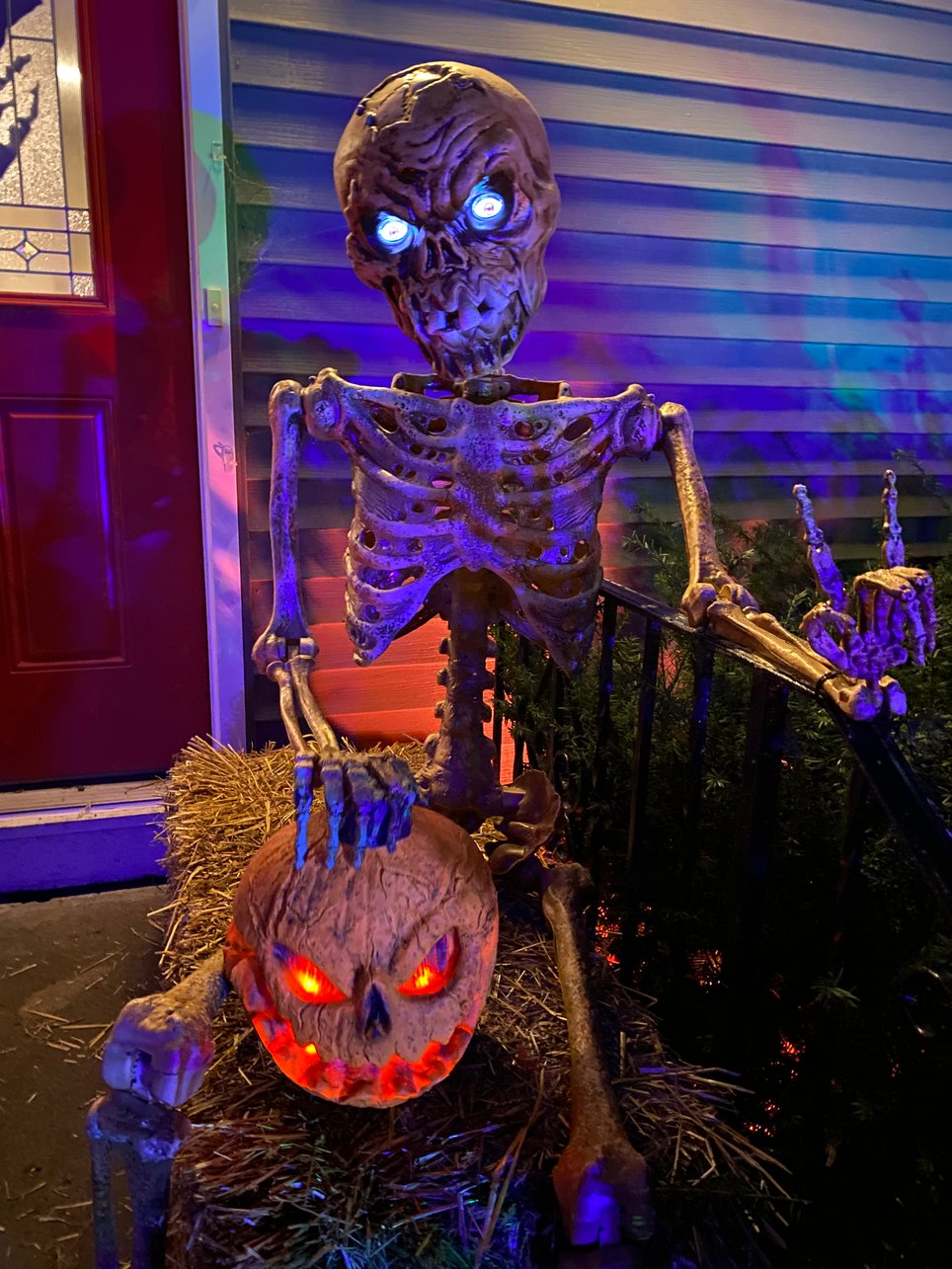 Live Undead on Lexington