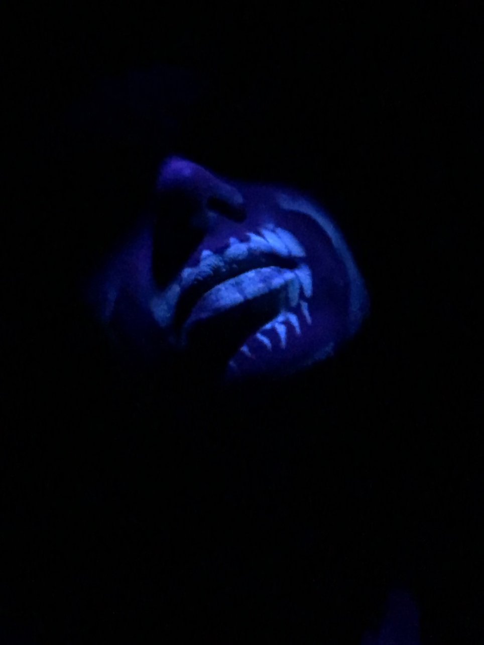 Fearlandia