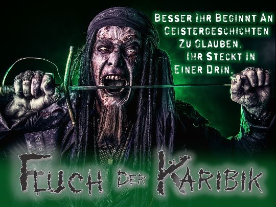 Fluch Der Karibik [Pirates of the Caribbean]