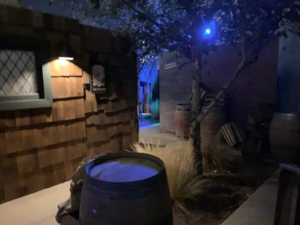 The Mine