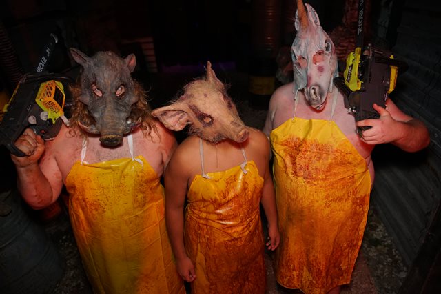 Houston Terror Dome