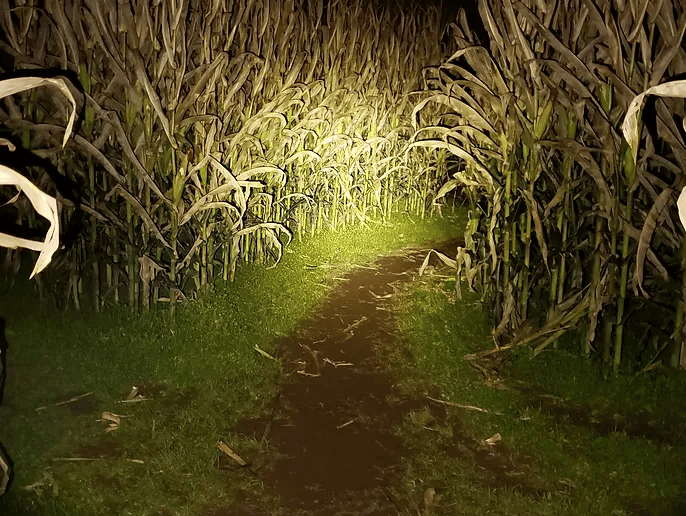 Flashlight Maze
