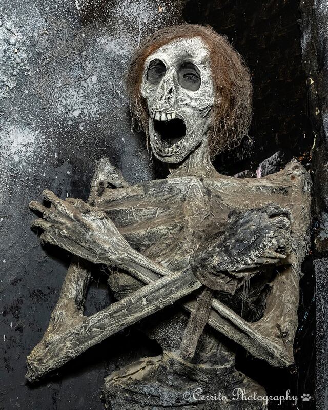 Bloodview Haunted House