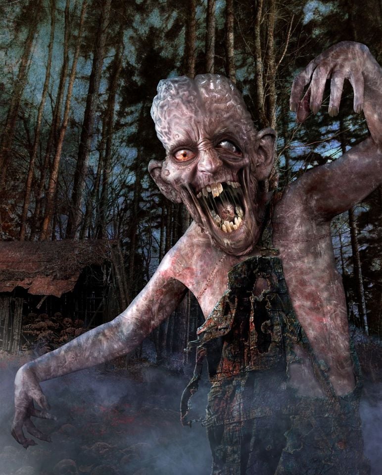 Evil In The Woods