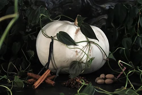 Trick or Treat: Calling the Spirits - 4 Votive Set