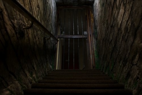 The Dungeon