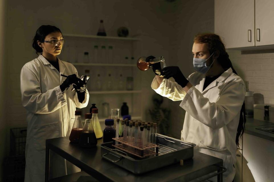 The Lab