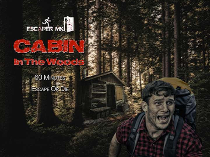 Cabin In The Woods