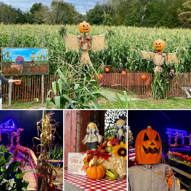 Haunted Corn Maze