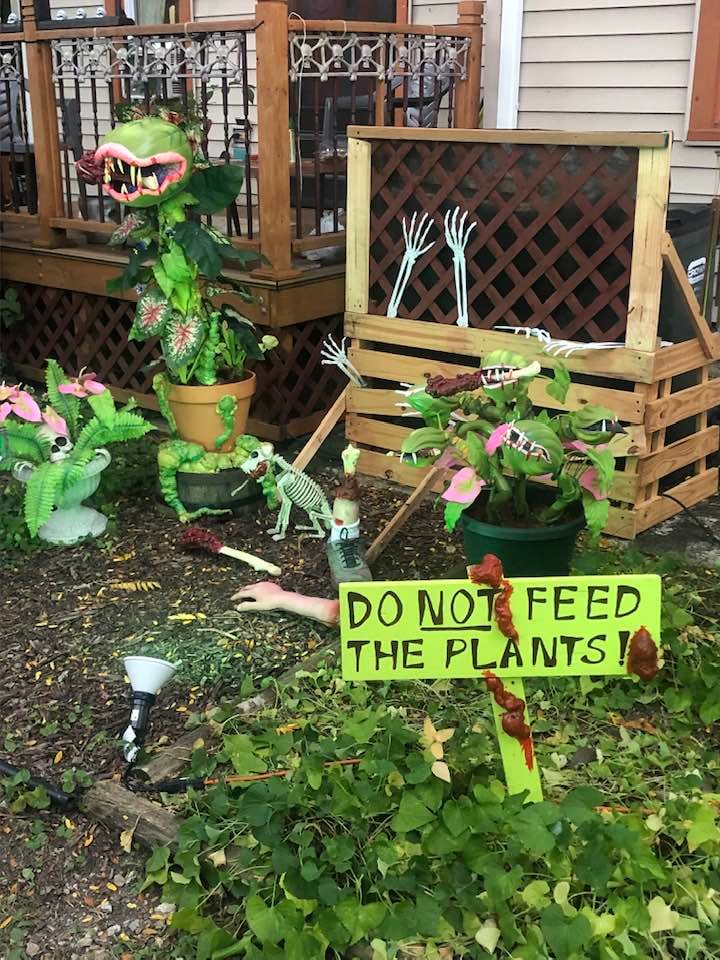 Belladonna Boneyard