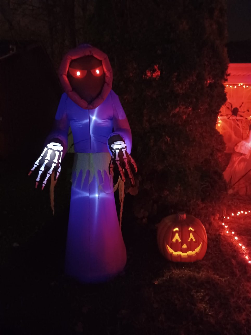Yard of Terror